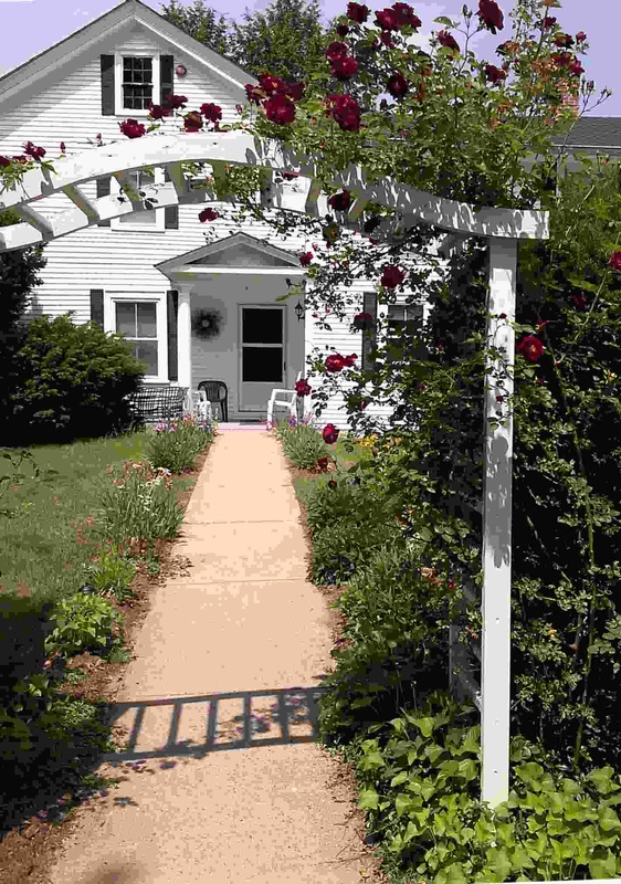 Walkway with roses